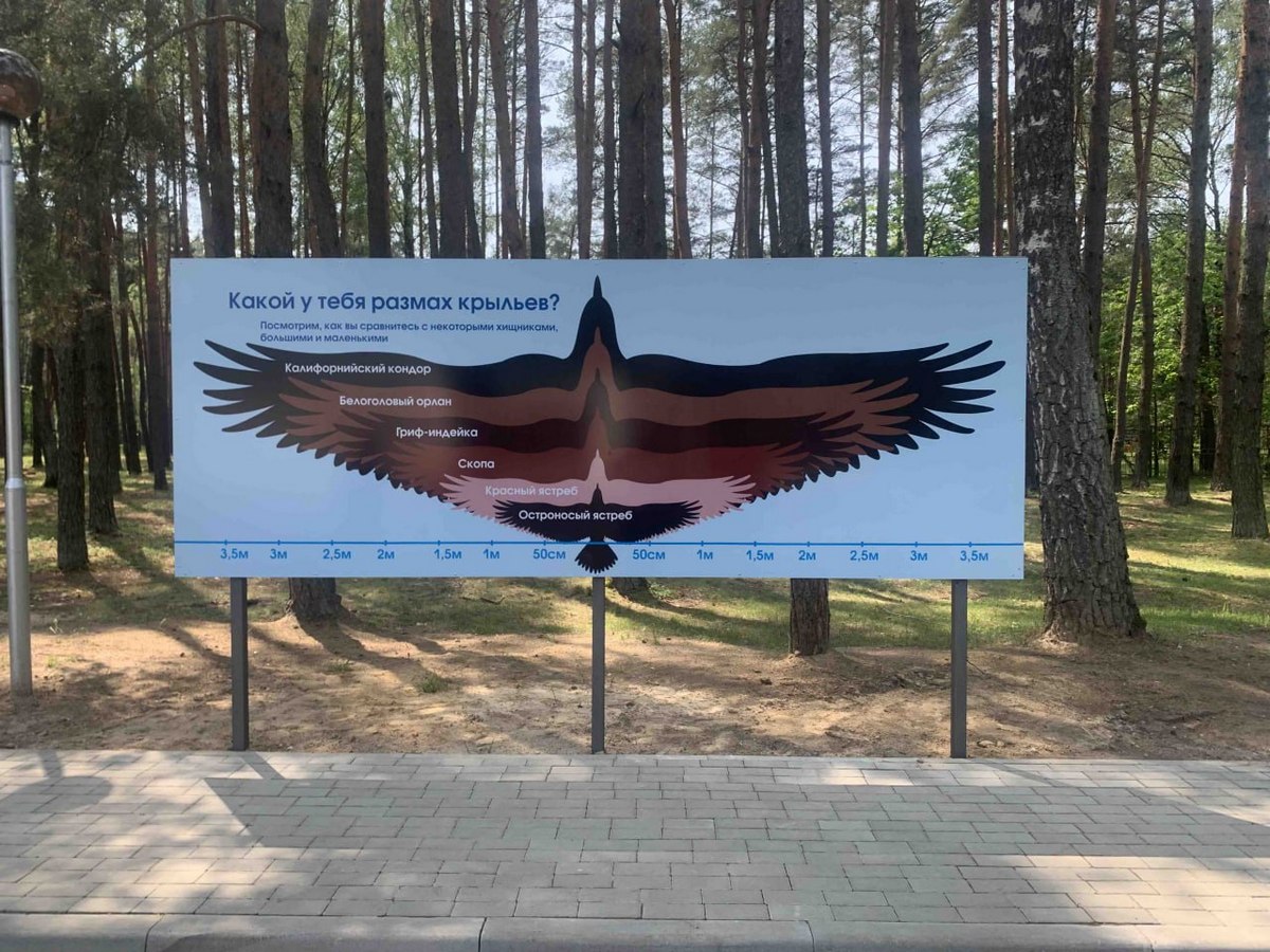 Новинки лагеря 