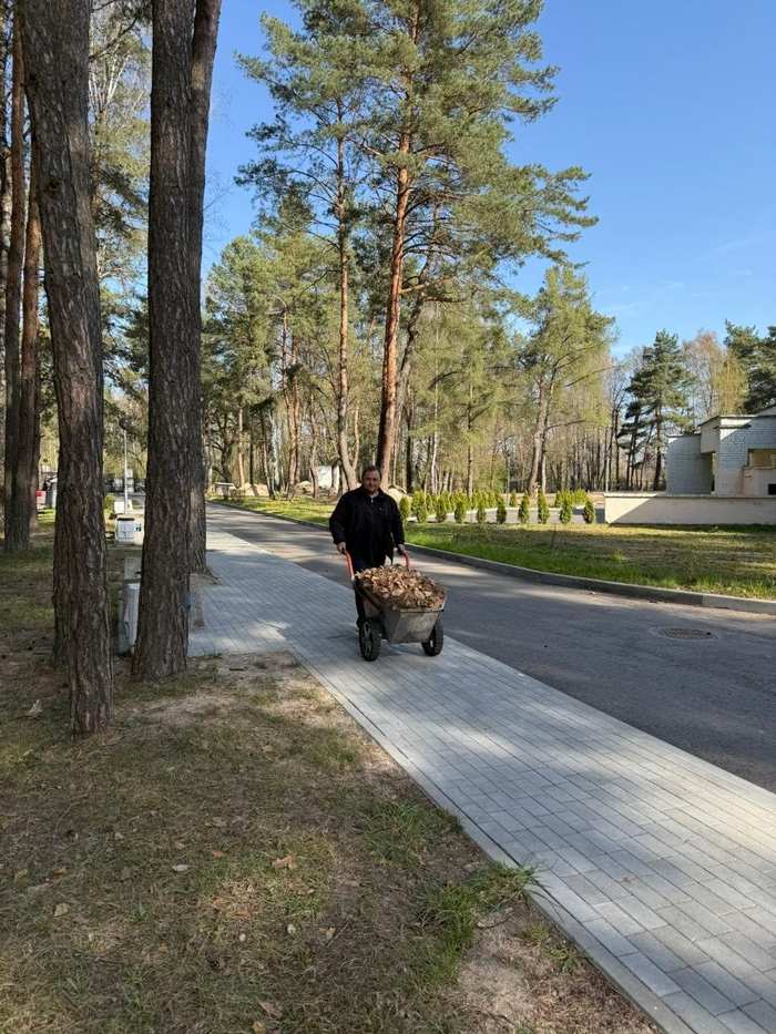 Продолжение работ по наведению порядка на территории лагеря 