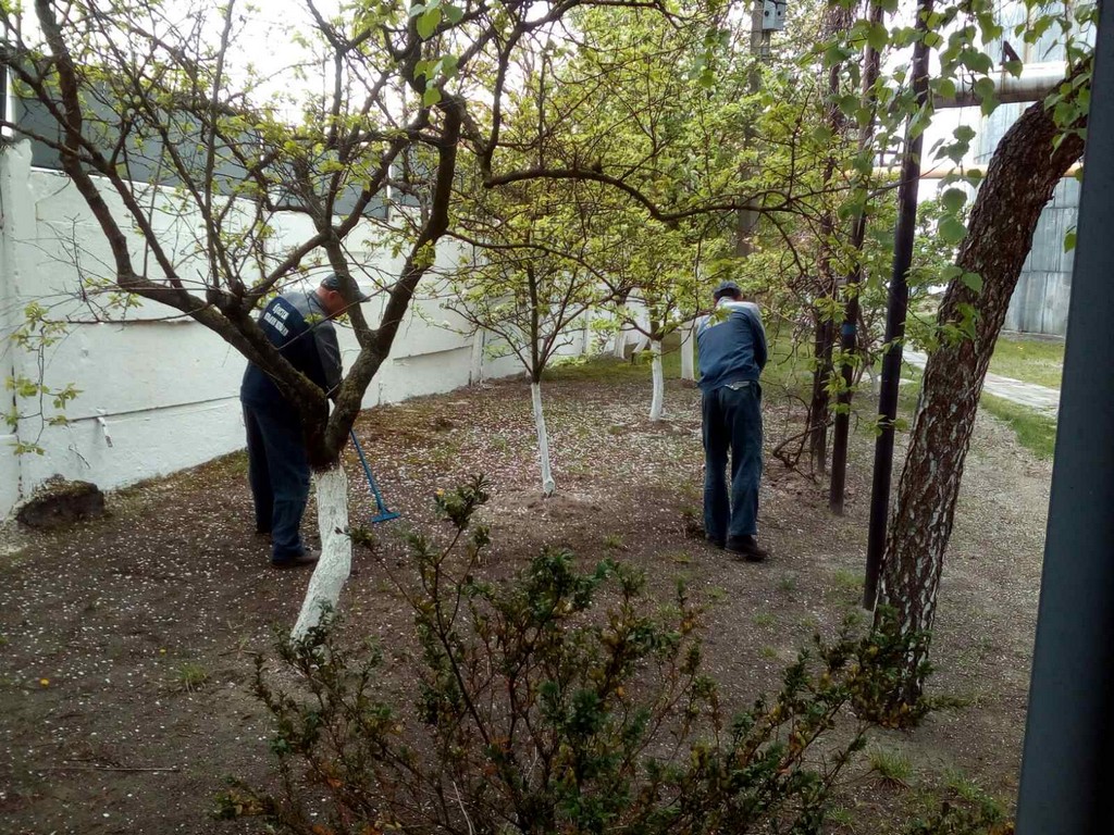 Субботник 20 00004